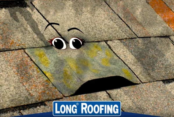 Long Roofing Commercial Image